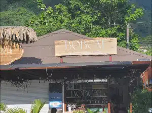 Bobcat Wine & Coffee House